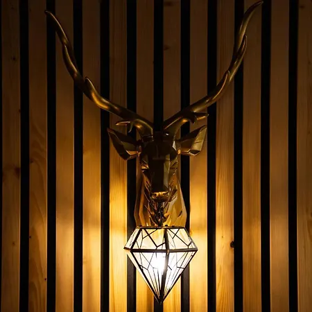 Budzowski Wierch - Na Krzeptowkach 아파트호텔 자코파네